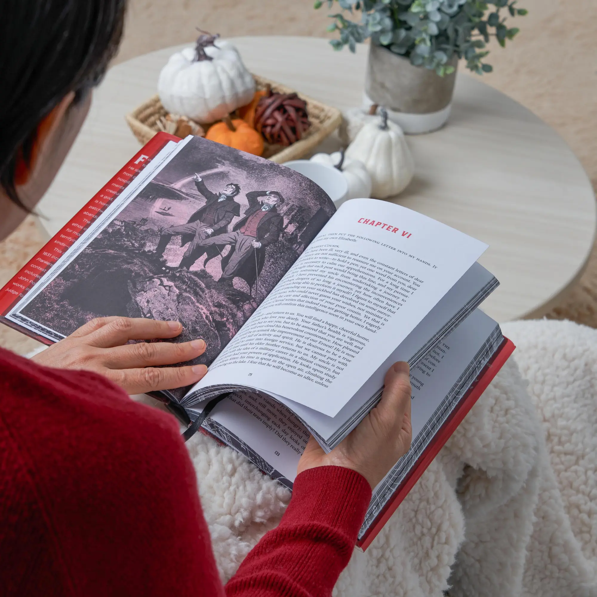 Bild: 9781454951575 | Frankenstein (Deluxe Edition) | Mary Shelley | Buch | Gebunden | 2023