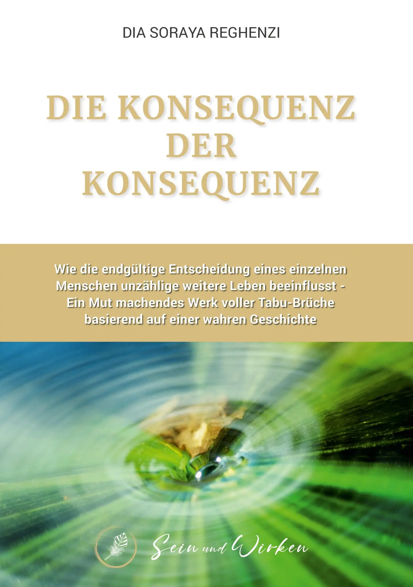 Cover: 9783384531575 | Die Konsequenz der Konsequenz | Dia Soraya Reghenzi | Buch | 272 S.