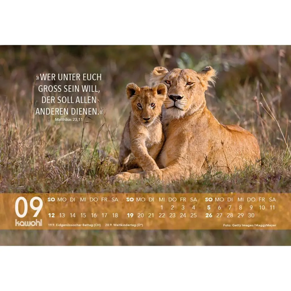 Bild: 9783754891575 | Jesus Zitate 2027 | Wegweisende Worte und brillante Bilder | Kalender