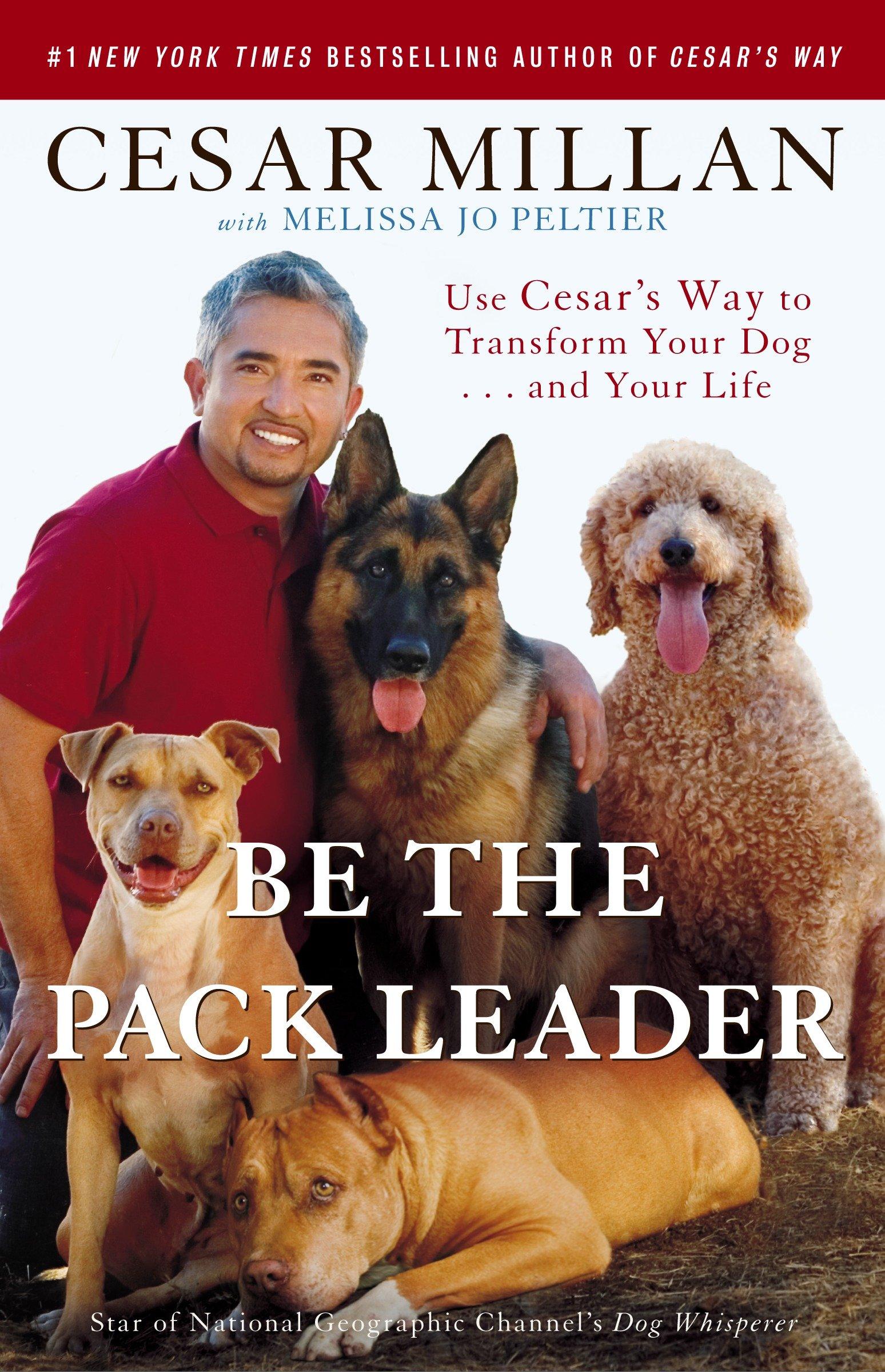 Be the Pack Leader | Use Cesar's Way to Transform Your Dog . . . and Your Life | Cesar Millan (u. a.) | Taschenbuch | Englisch | 2008 | Random House LLC US | EAN 9780307381675 - Millan, Cesar