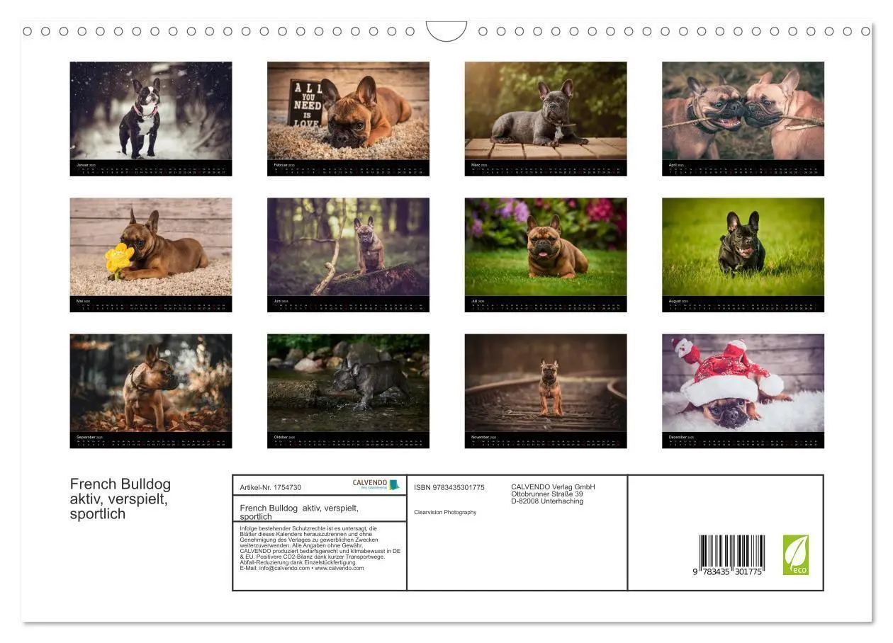 Bild: 9783435301775 | French Bulldog aktiv, verspielt, sportlich (Wandkalender 2025 DIN...