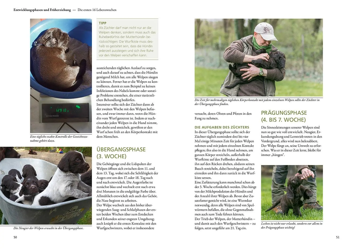 Bild: 9783440181775 | Der Jagdhundwelpe | Hans-Jürgen Markmann | Buch | 144 S. | Deutsch