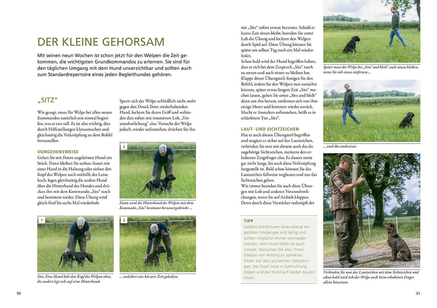 Bild: 9783440181775 | Der Jagdhundwelpe | Hans-Jürgen Markmann | Buch | 144 S. | Deutsch