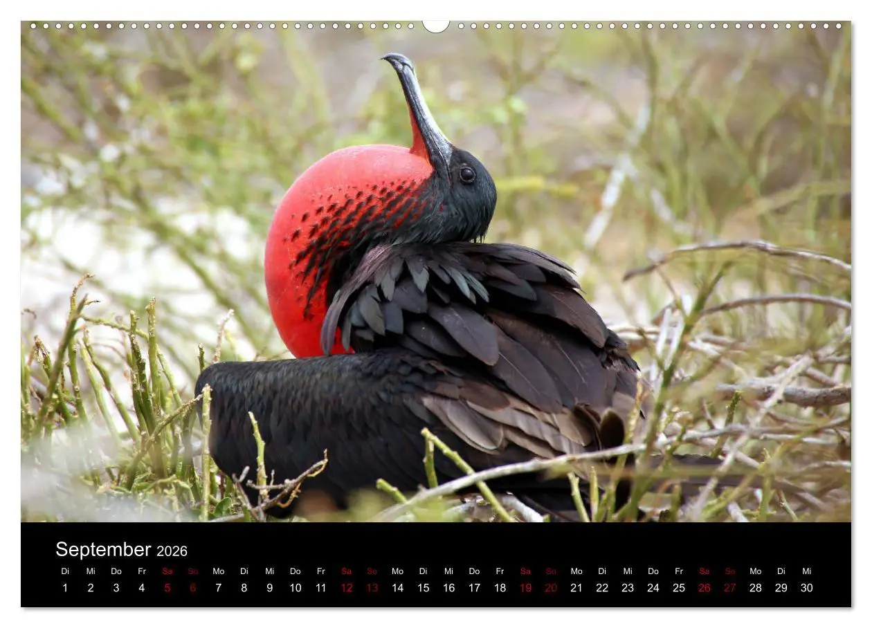 Bild: 9783457701775 | Ama la Vida Ecuador (hochwertiger Premium Wandkalender 2026 DIN A2...