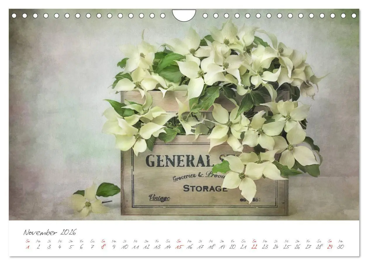 Bild: 9783516101775 | Blüten Poesie (Wandkalender 2026 DIN A4 quer), CALVENDO Monatskalender