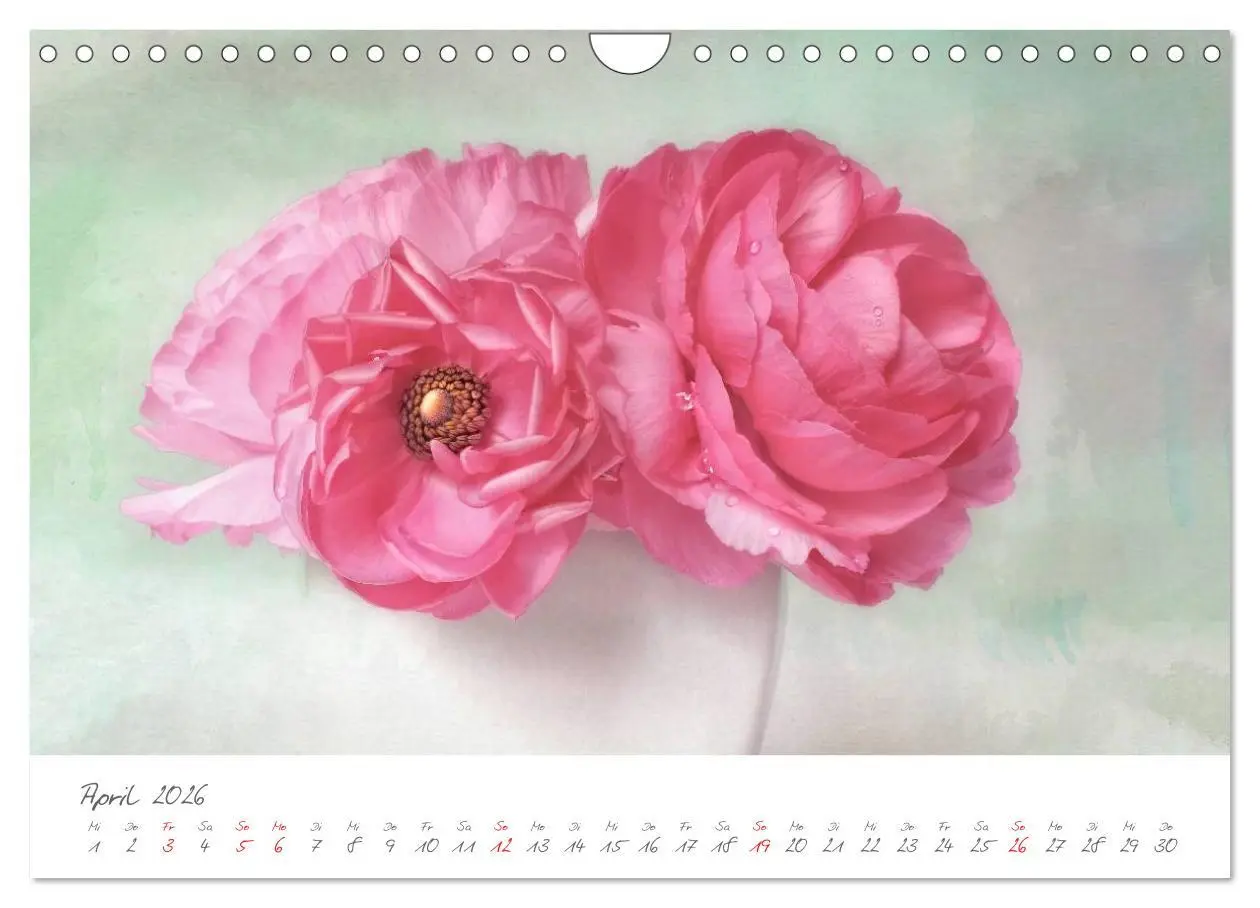 Bild: 9783516101775 | Blüten Poesie (Wandkalender 2026 DIN A4 quer), CALVENDO Monatskalender