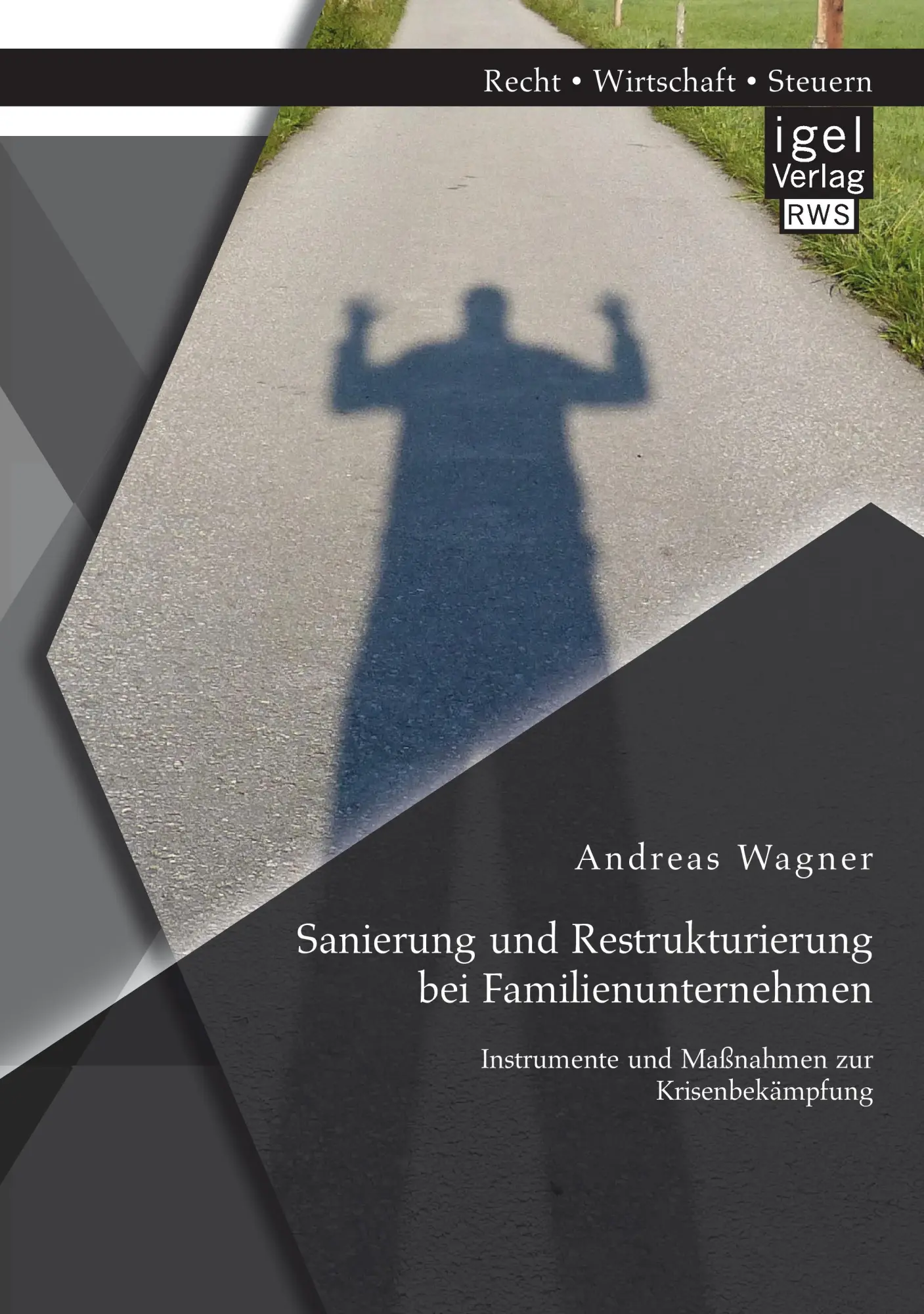 Cover: 9783954851775 | Sanierung und Restrukturierung bei Familienunternehmen: Instrumente...