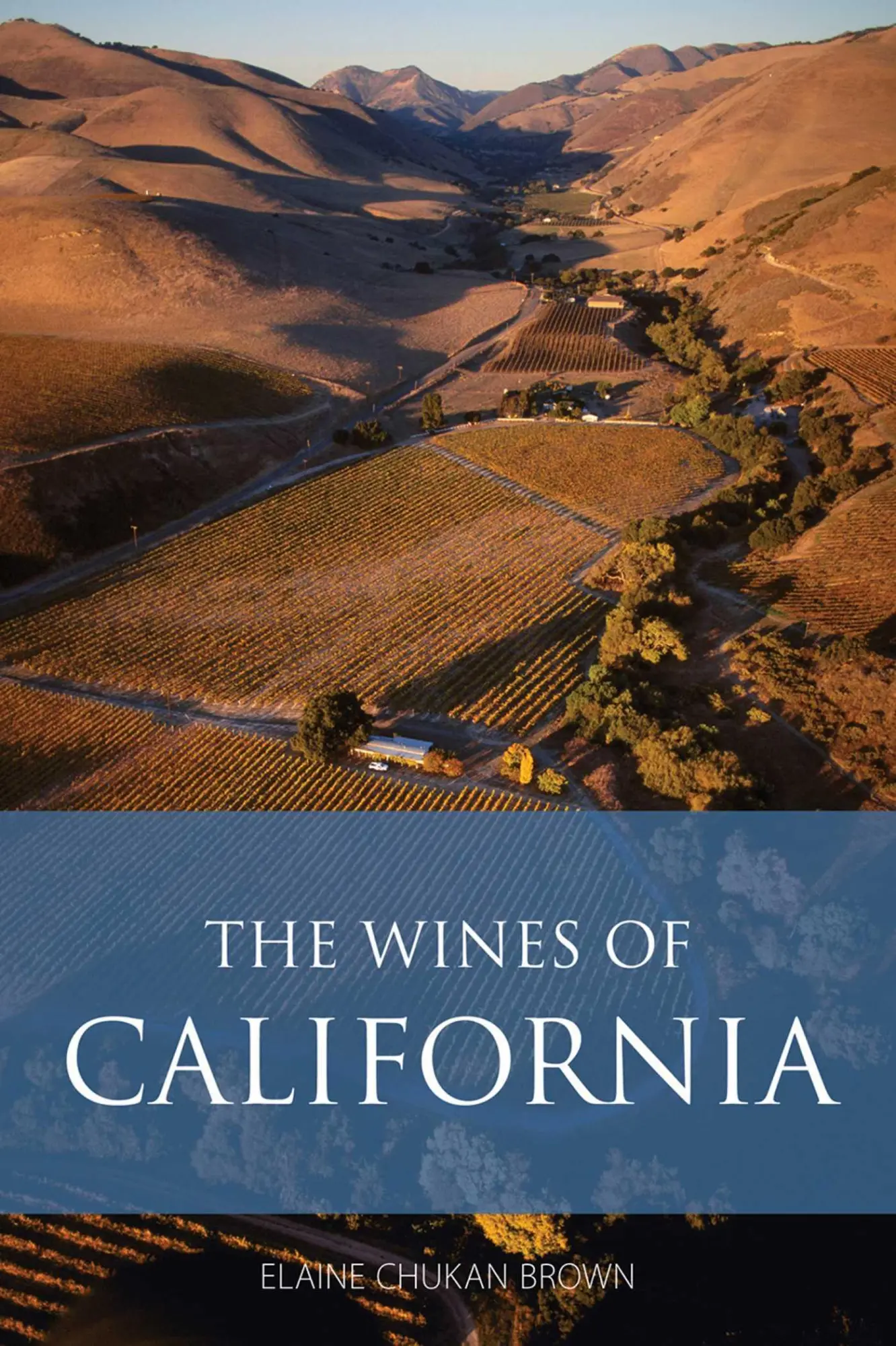 Cover: 9781913141875 | The Wines of California | Elaine Chukan Brown | Taschenbuch | Englisch