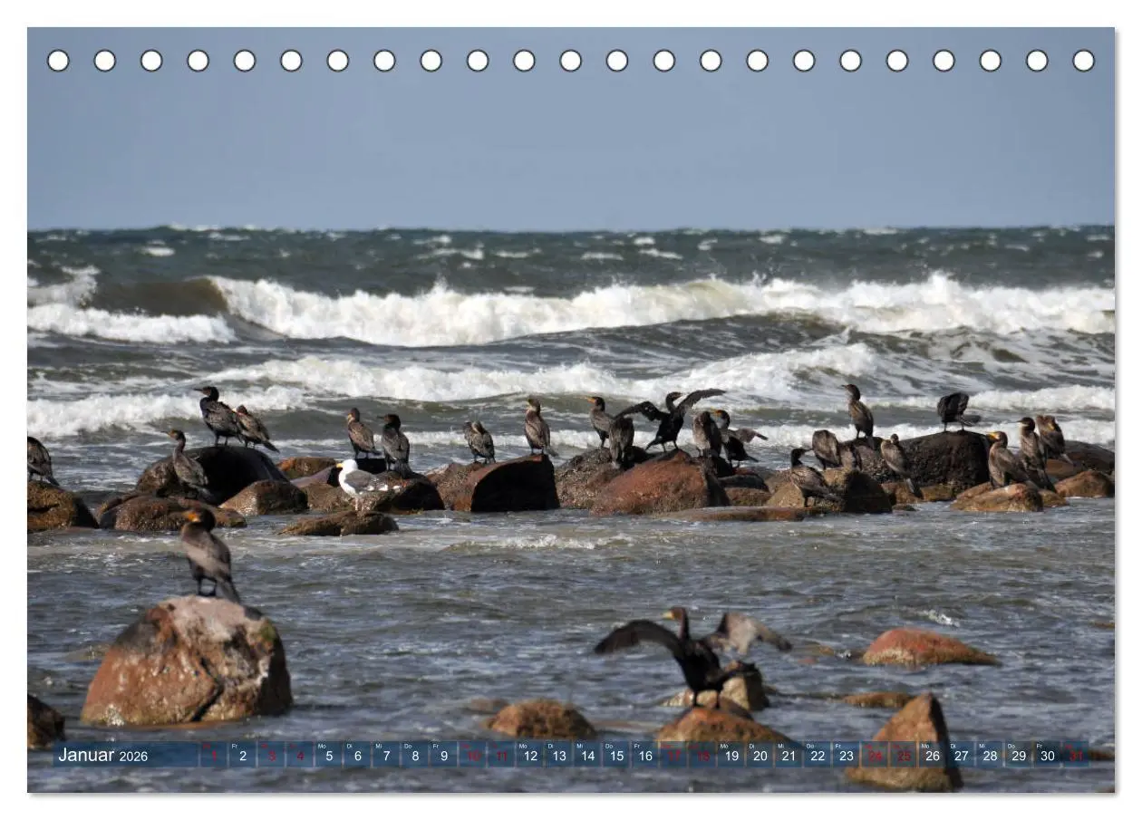 Bild: 9783457861875 | Bornholm - Sonneninsel der Ostsee (Tischkalender 2026 DIN A5 quer),...