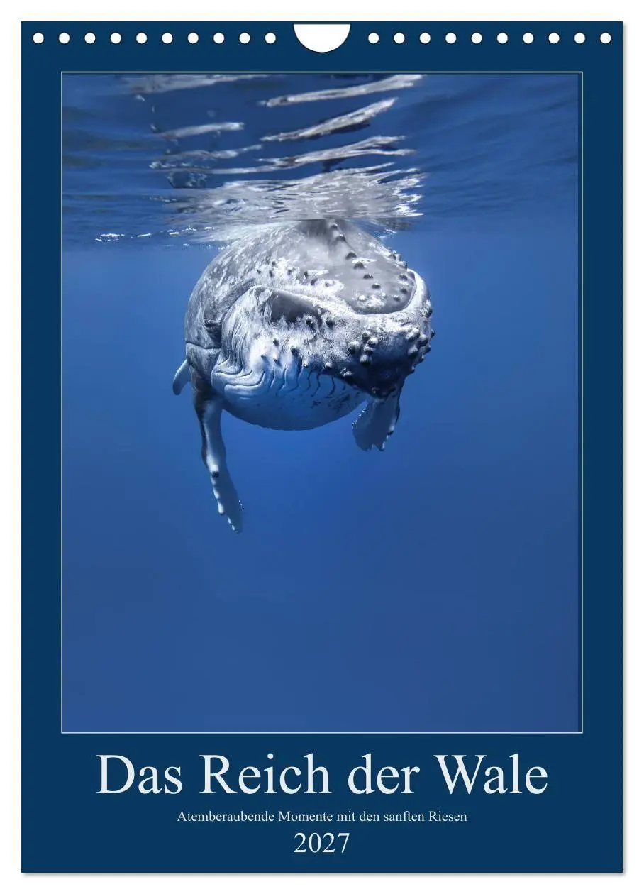 Cover: 9783569801875 | Im Reich der Wale (Wandkalender 2027 DIN A4 hoch), CALVENDO...