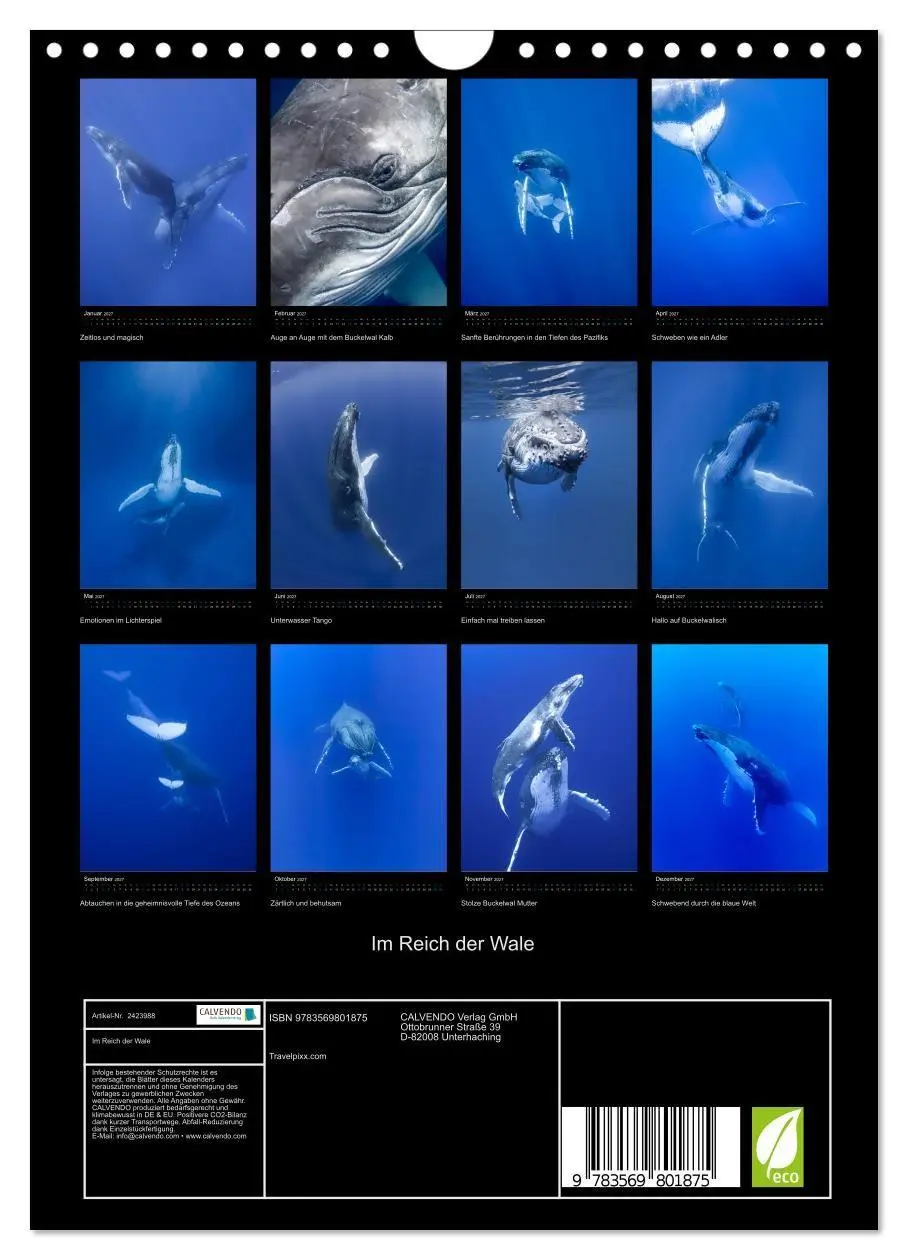 Bild: 9783569801875 | Im Reich der Wale (Wandkalender 2027 DIN A4 hoch), CALVENDO...