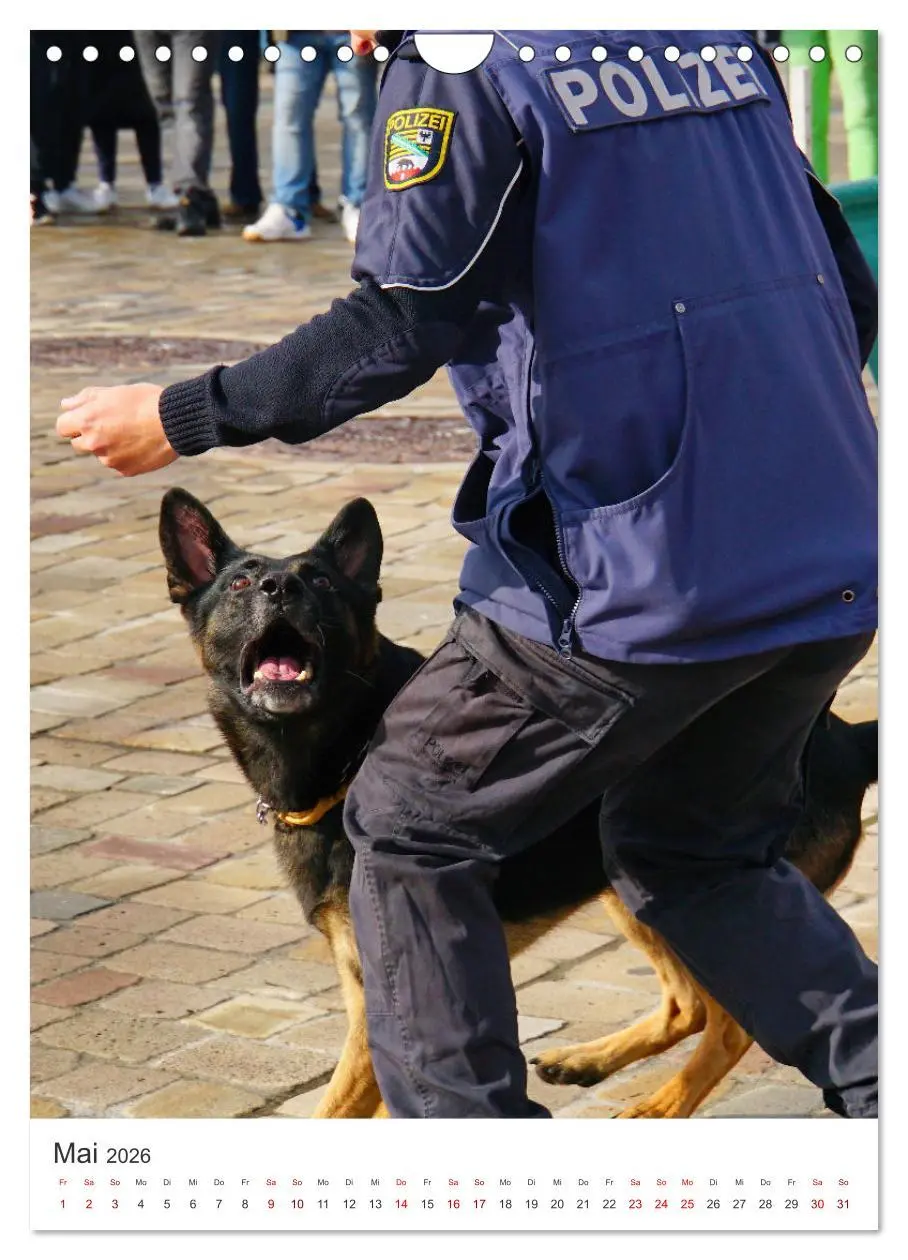Bild: 9783516321975 | Tag der Polizei (Wandkalender 2026 DIN A4 hoch), CALVENDO...