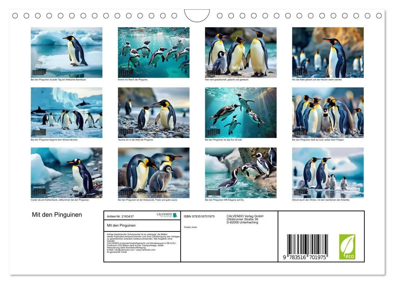 Bild: 9783516701975 | Mit den Pinguinen (Wandkalender 2026 DIN A4 quer), CALVENDO...