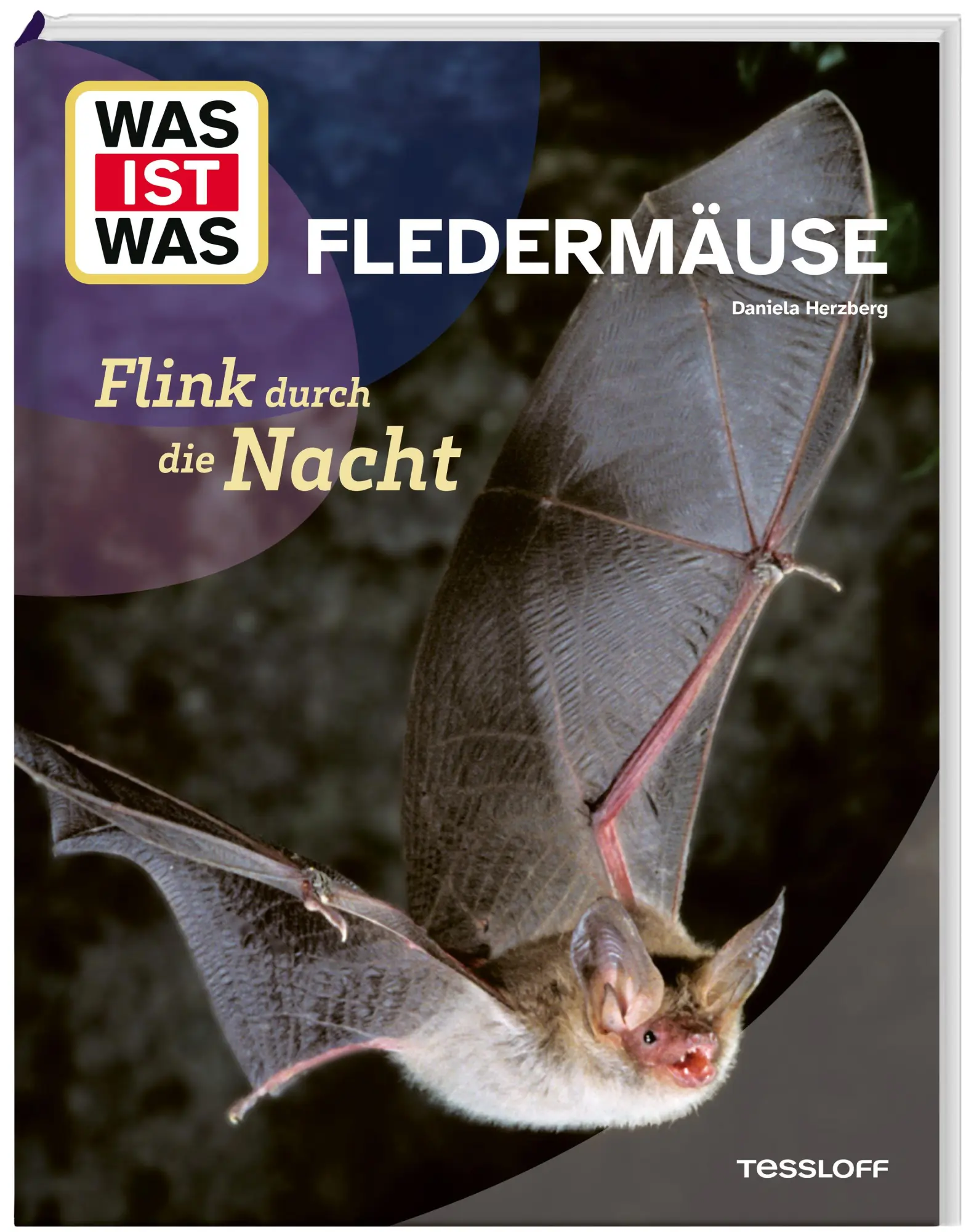 Cover: 9783788681975 | WAS IST WAS Fledermäuse. Flink durch die Nacht | Daniela Herzberg