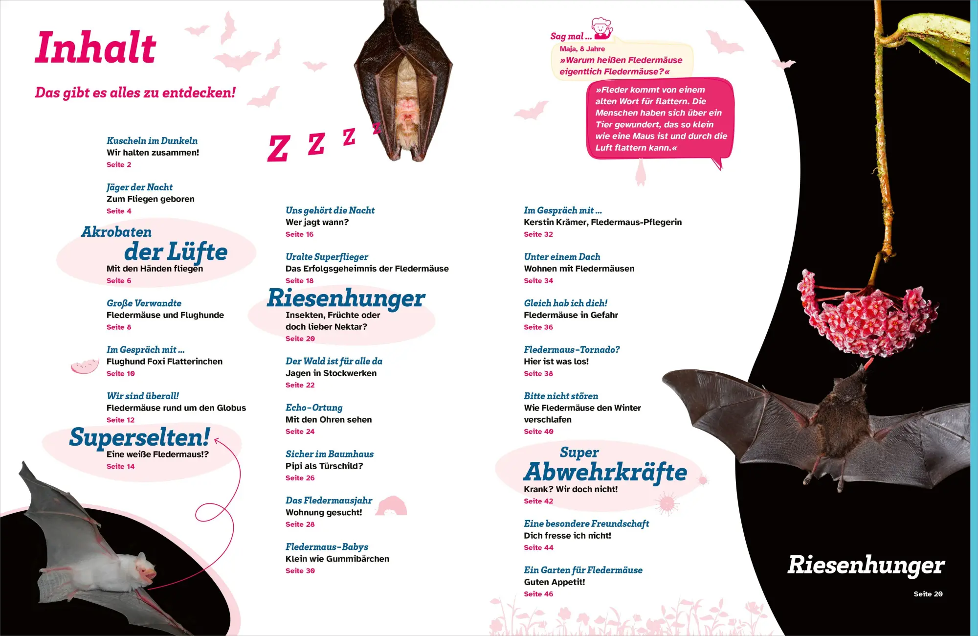 Bild: 9783788681975 | WAS IST WAS Fledermäuse. Flink durch die Nacht | Daniela Herzberg