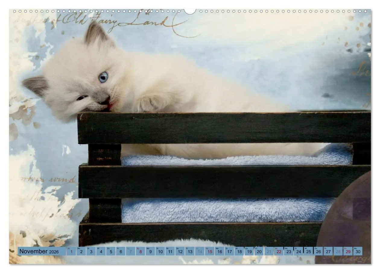 Bild: 9783457812075 | RAGDOLLS Impressionen aus der Kinderstube (Wandkalender 2026 DIN A2...