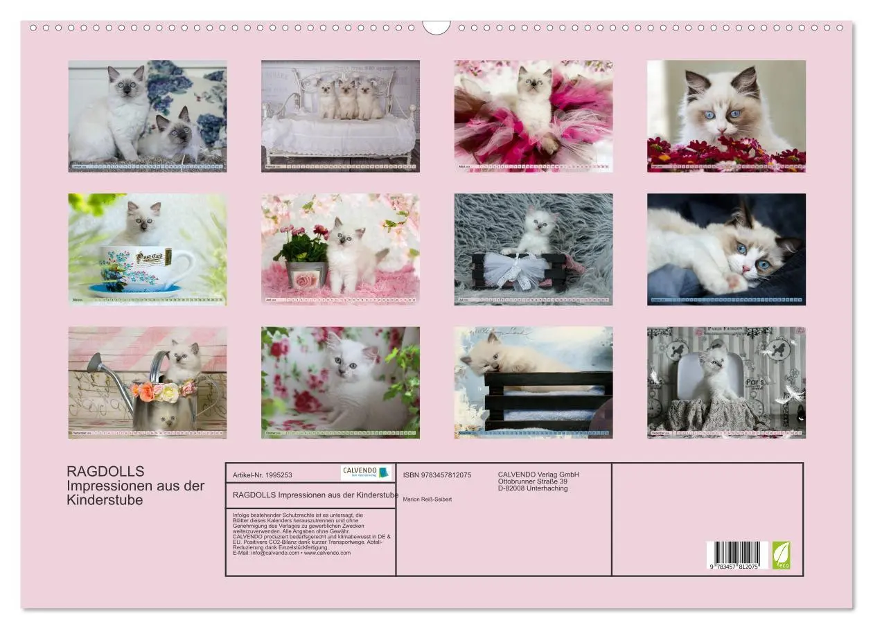 Bild: 9783457812075 | RAGDOLLS Impressionen aus der Kinderstube (Wandkalender 2026 DIN A2...