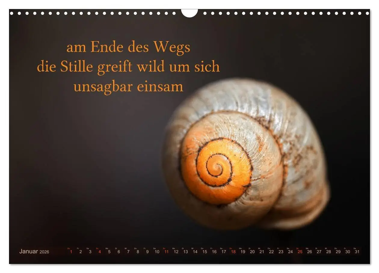 Bild: 9783516142075 | Haiku - Gedichte in 17 Silben (Wandkalender 2026 DIN A3 quer),...