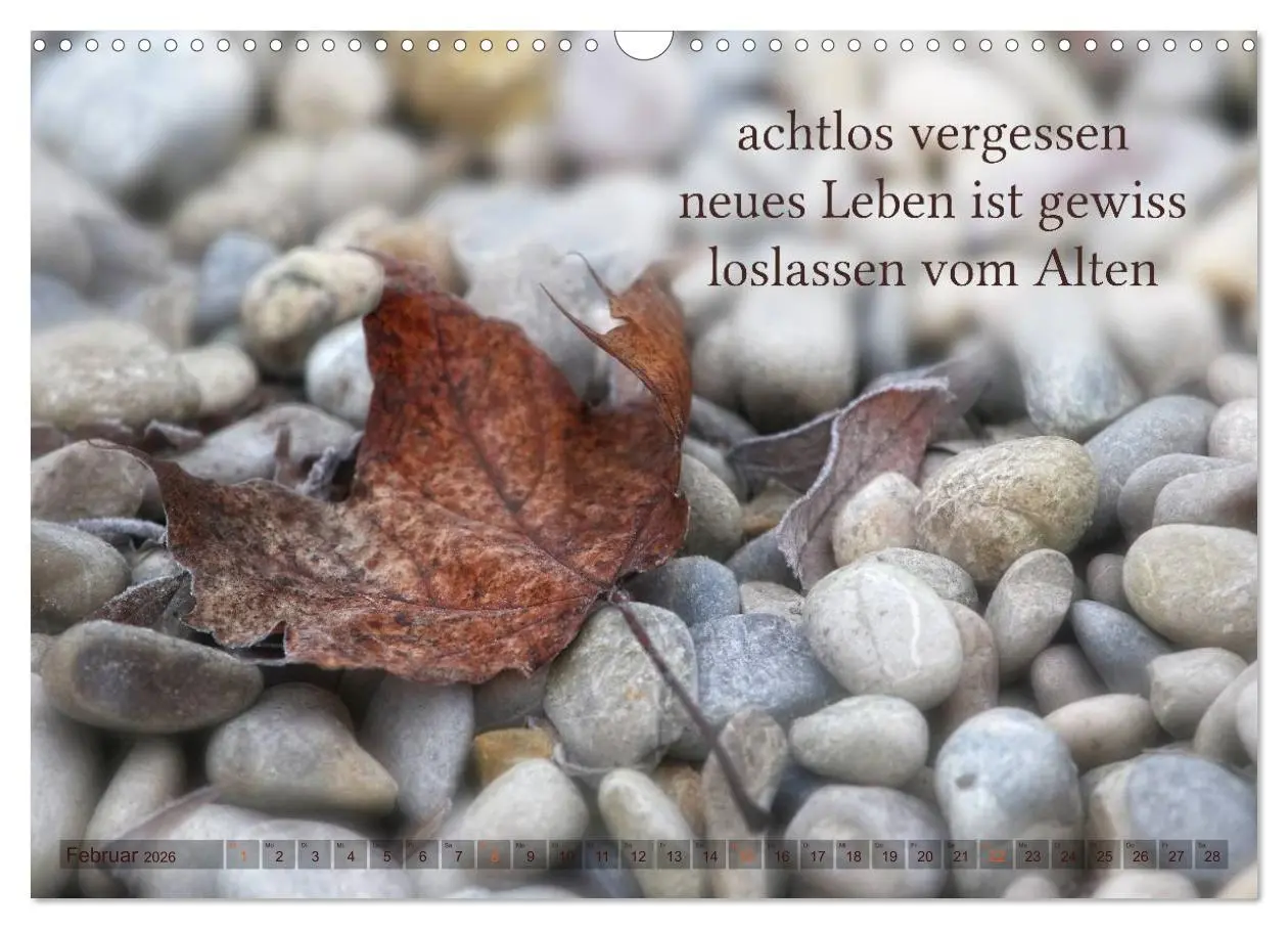 Bild: 9783516142075 | Haiku - Gedichte in 17 Silben (Wandkalender 2026 DIN A3 quer),...