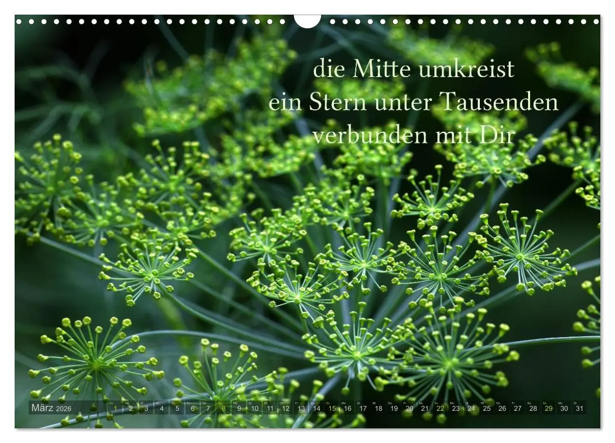 Bild: 9783516142075 | Haiku - Gedichte in 17 Silben (Wandkalender 2026 DIN A3 quer),...