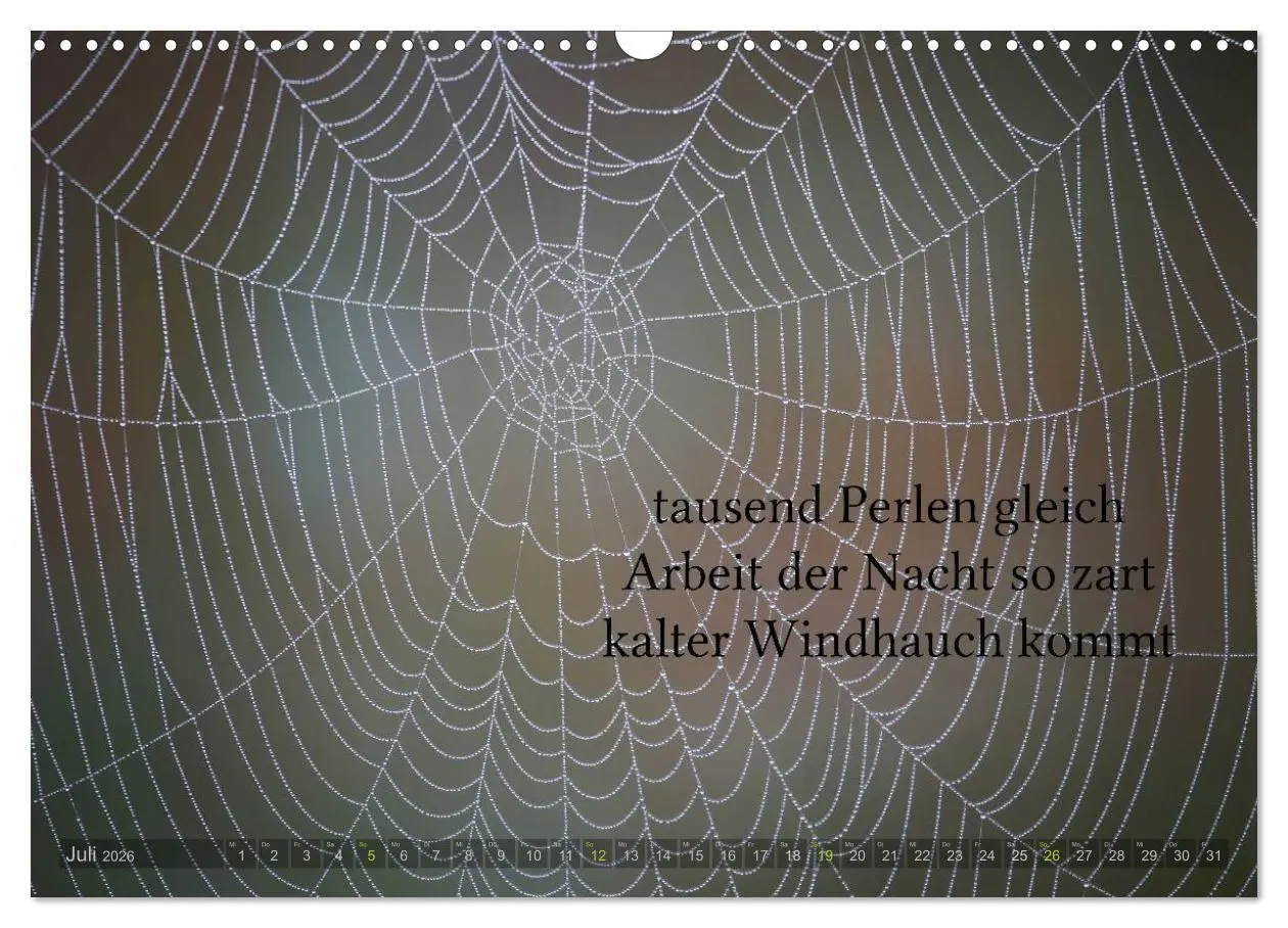 Bild: 9783516142075 | Haiku - Gedichte in 17 Silben (Wandkalender 2026 DIN A3 quer),...