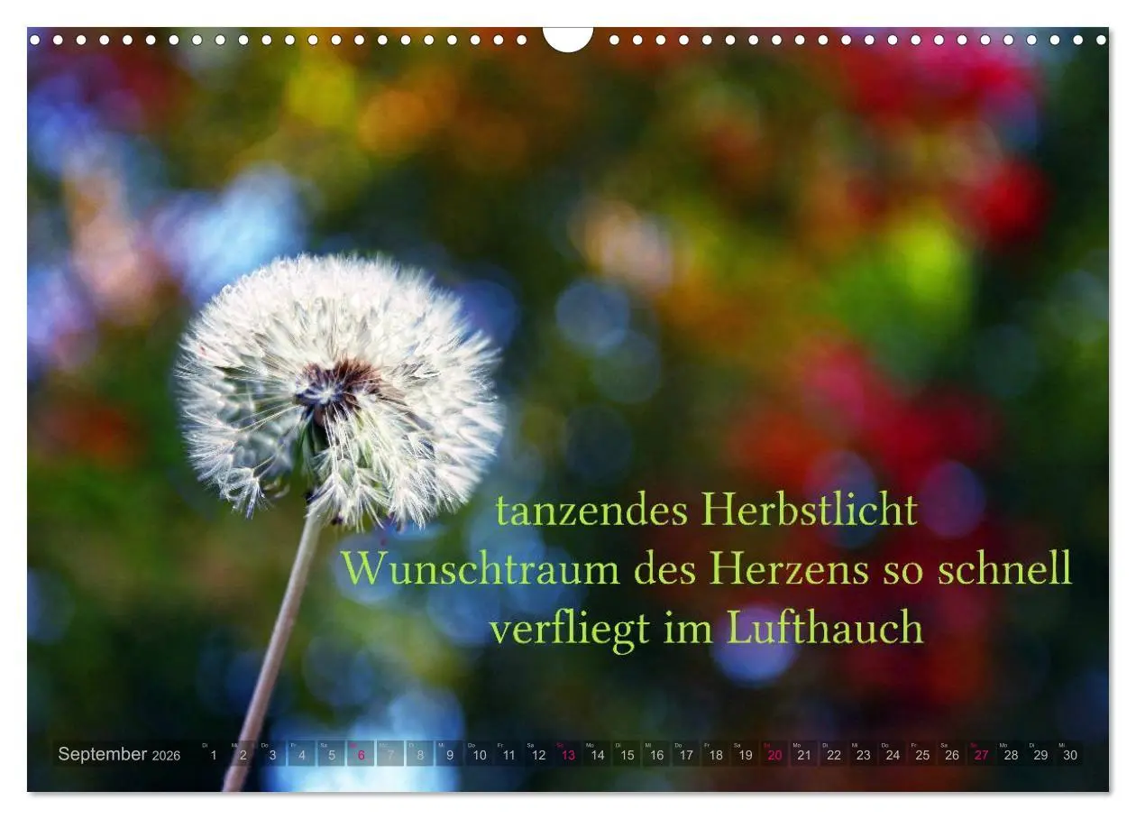 Bild: 9783516142075 | Haiku - Gedichte in 17 Silben (Wandkalender 2026 DIN A3 quer),...