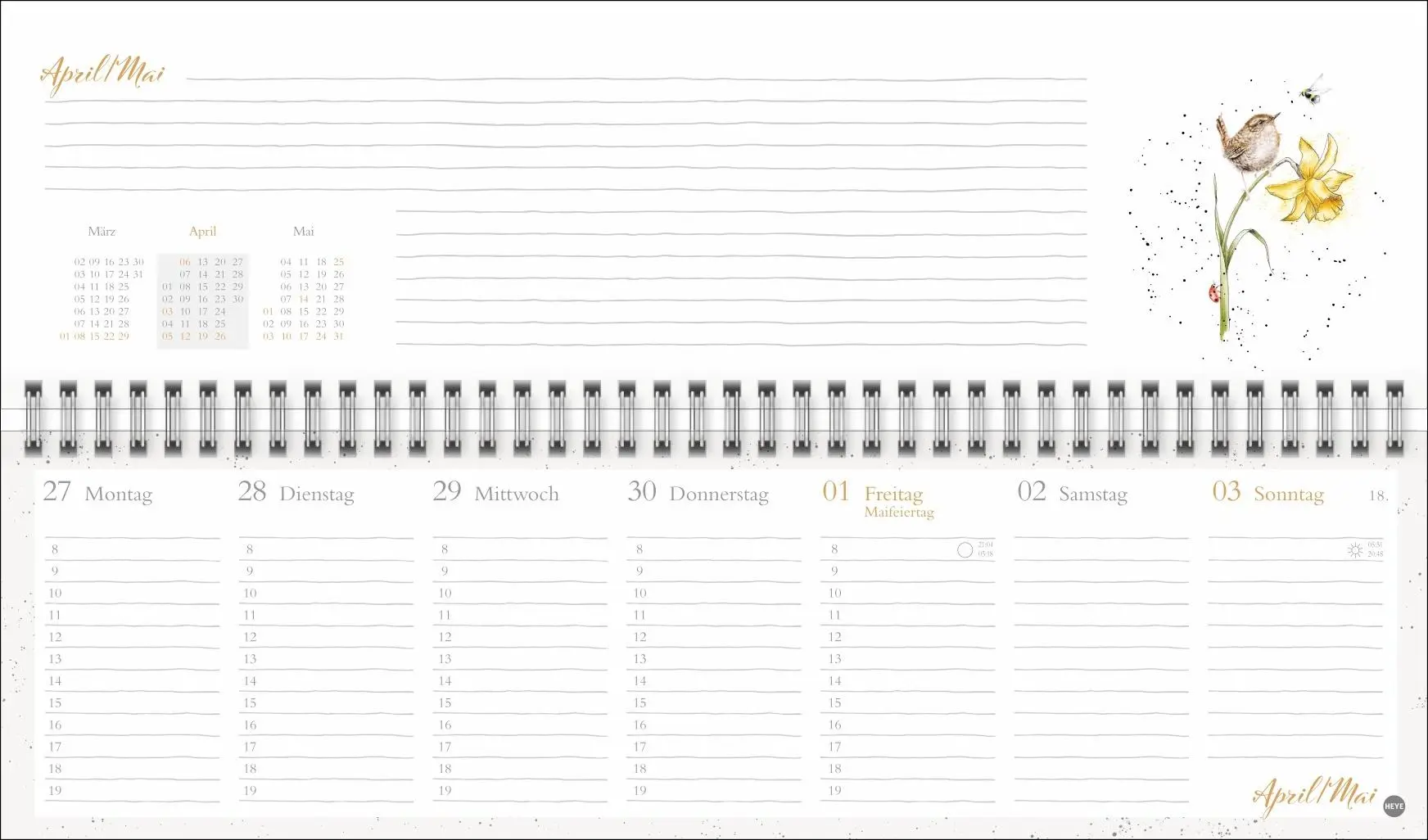 Bild: 9783756412075 | Hannah Dale : Wochenquerplaner 2026 | Hannah Dale | Kalender | 112 S.