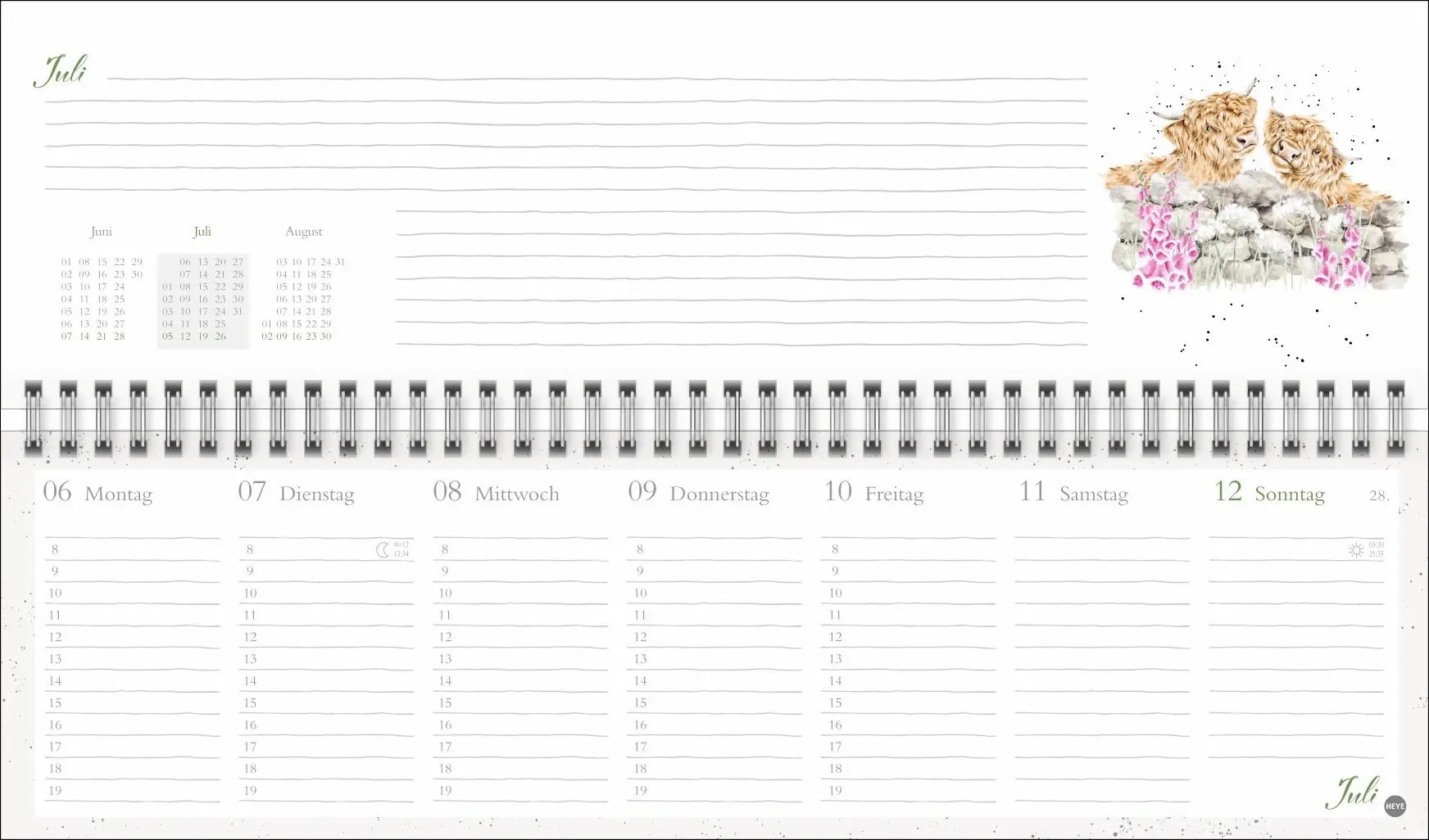 Bild: 9783756412075 | Hannah Dale : Wochenquerplaner 2026 | Hannah Dale | Kalender | 112 S.