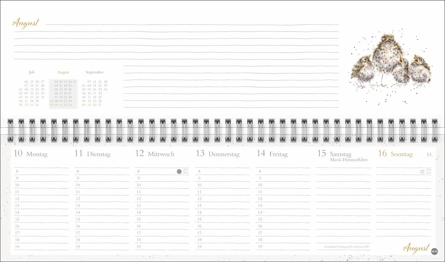 Bild: 9783756412075 | Hannah Dale : Wochenquerplaner 2026 | Hannah Dale | Kalender | 112 S.
