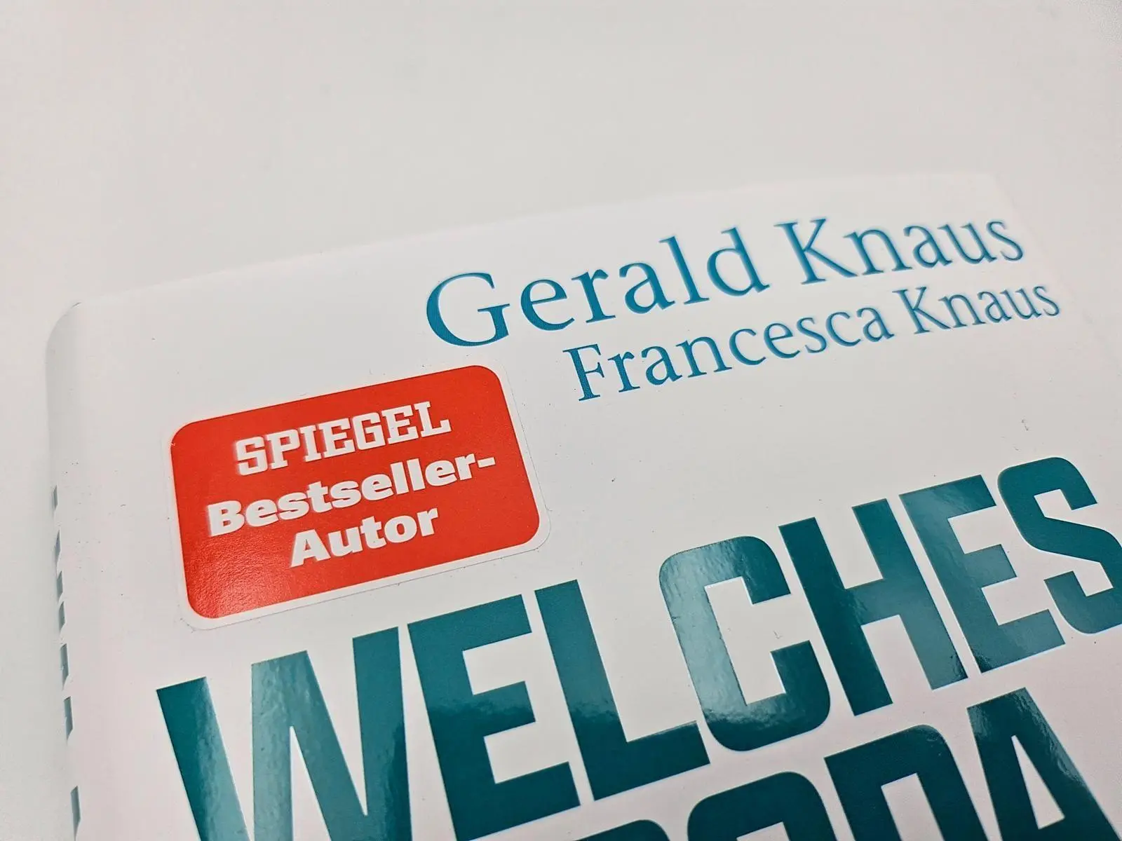 Bild: 9783492072175 | Welches Europa brauchen wir? | Gerald Knaus (u. a.) | Buch | 448 S.