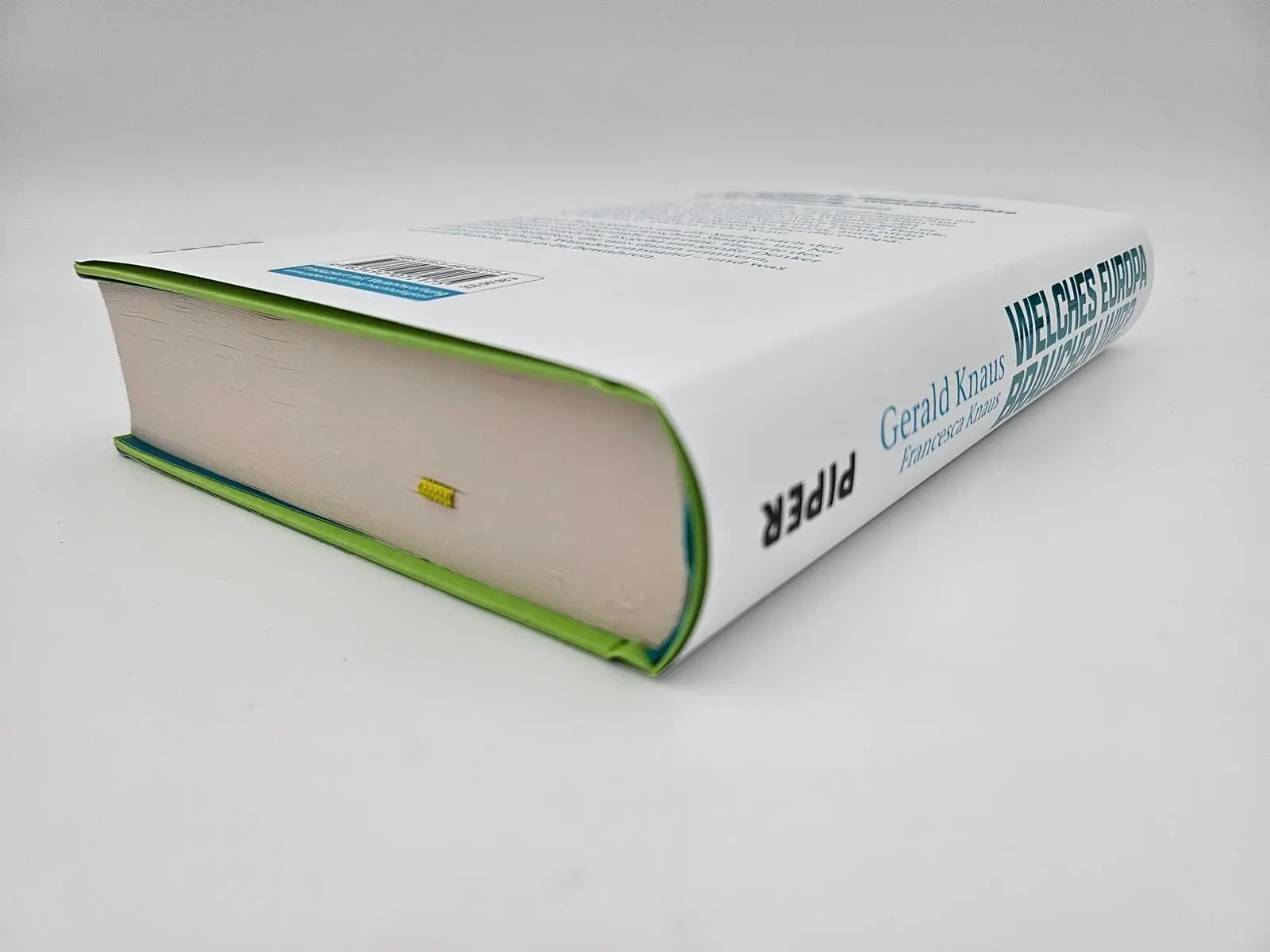 Bild: 9783492072175 | Welches Europa brauchen wir? | Gerald Knaus (u. a.) | Buch | 448 S.