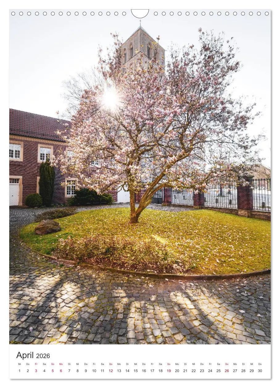 Bild: 9783516372175 | Münster - Stadt und Natur (Wandkalender 2026 DIN A3 hoch), CALVENDO...