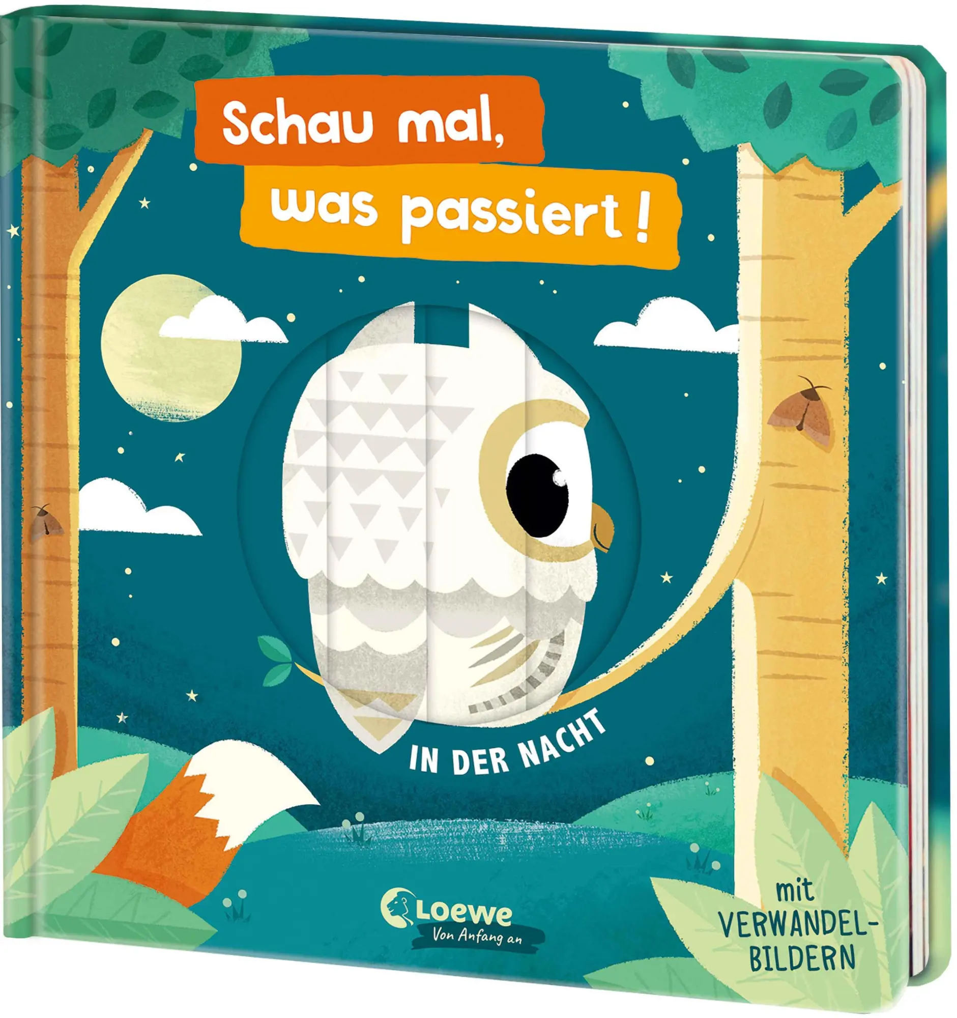 Cover: 9783743222175 | Schau mal, was passiert! In der Nacht | David Partington | Buch | 2025
