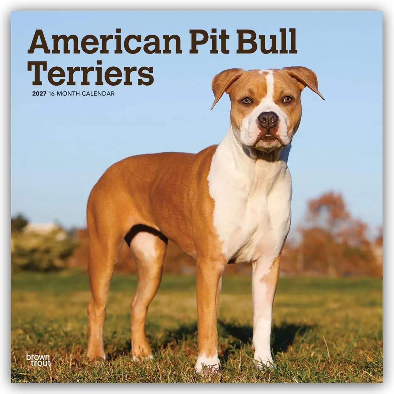 Cover: 9798330712175 | American Pit Bull Terriers 2027 - 16-Monatskalender | Publishers