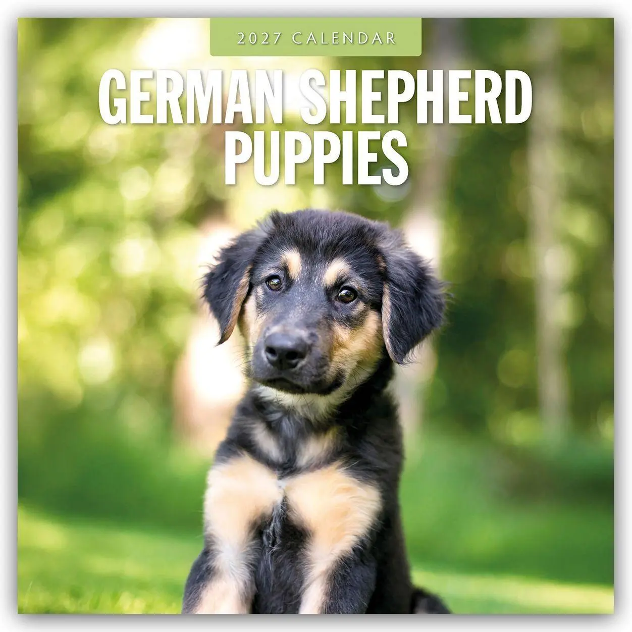 Cover: 9781837012275 | German Shepherd Puppies - Deutsche Schäferhunde Welpen 2027 -...