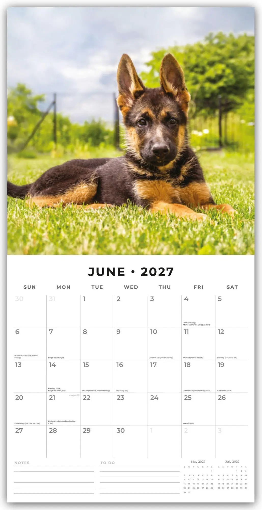 Bild: 9781837012275 | German Shepherd Puppies - Deutsche Schäferhunde Welpen 2027 -...