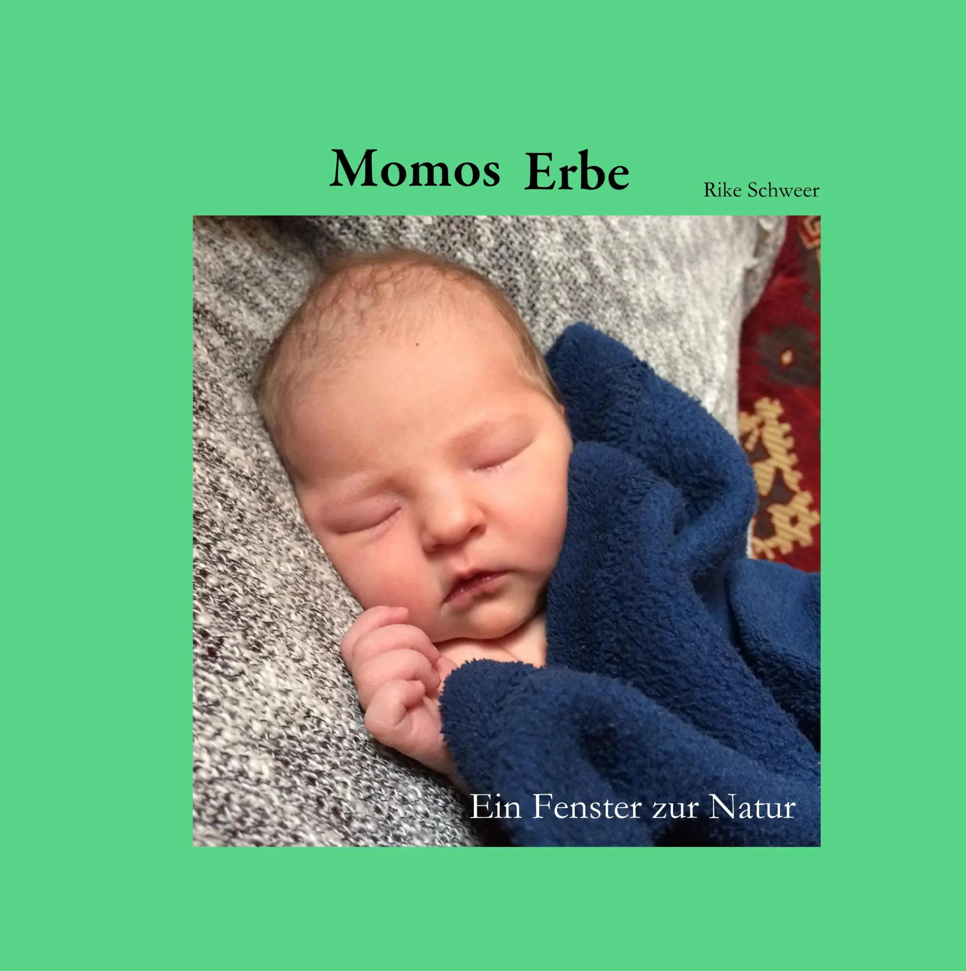 Cover: 9783751992275 | Momos Erbe | Ein Fenster zur Natur | Ulrike Schweer | Buch | 40 S.