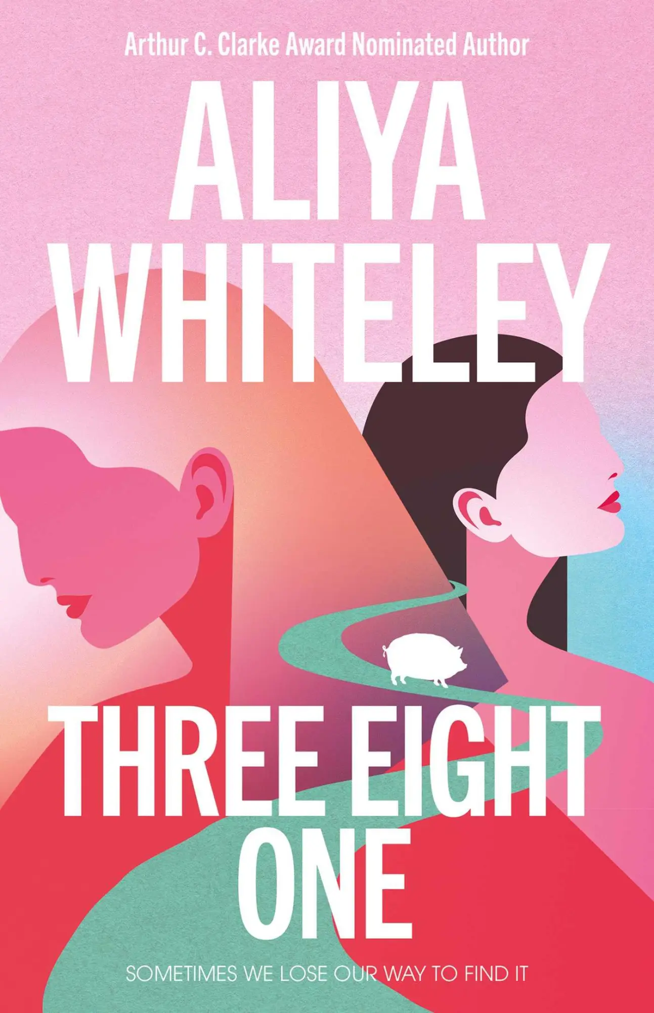 Cover: 9781837862375 | Three Eight One | Aliya Whiteley | Taschenbuch | Englisch | 2025