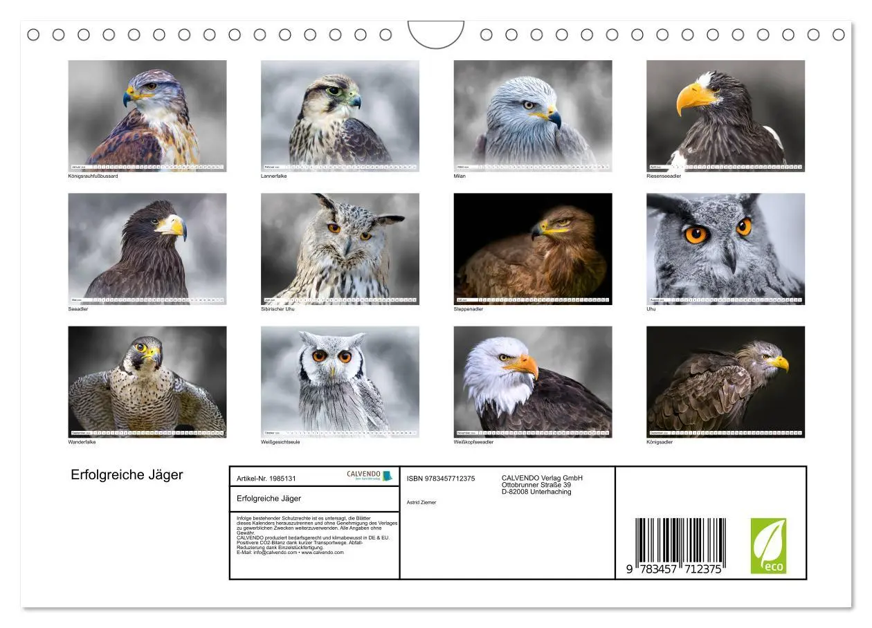 Bild: 9783457712375 | Erfolgreiche Jäger (Wandkalender 2026 DIN A4 quer), CALVENDO...