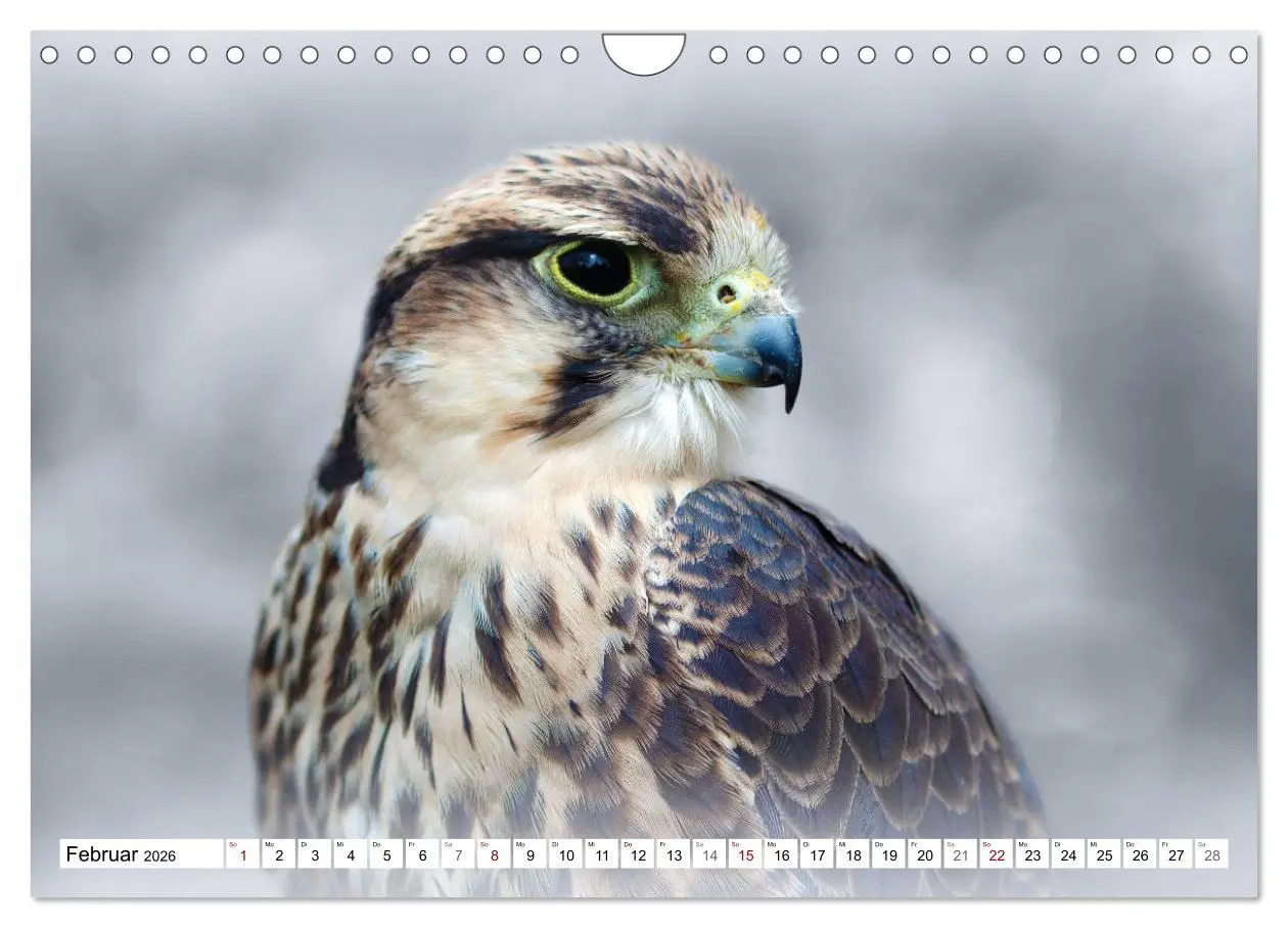 Bild: 9783457712375 | Erfolgreiche Jäger (Wandkalender 2026 DIN A4 quer), CALVENDO...
