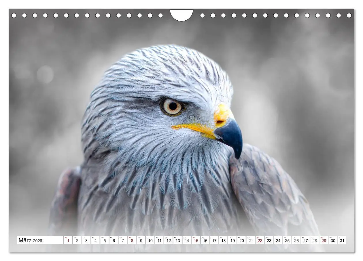 Bild: 9783457712375 | Erfolgreiche Jäger (Wandkalender 2026 DIN A4 quer), CALVENDO...