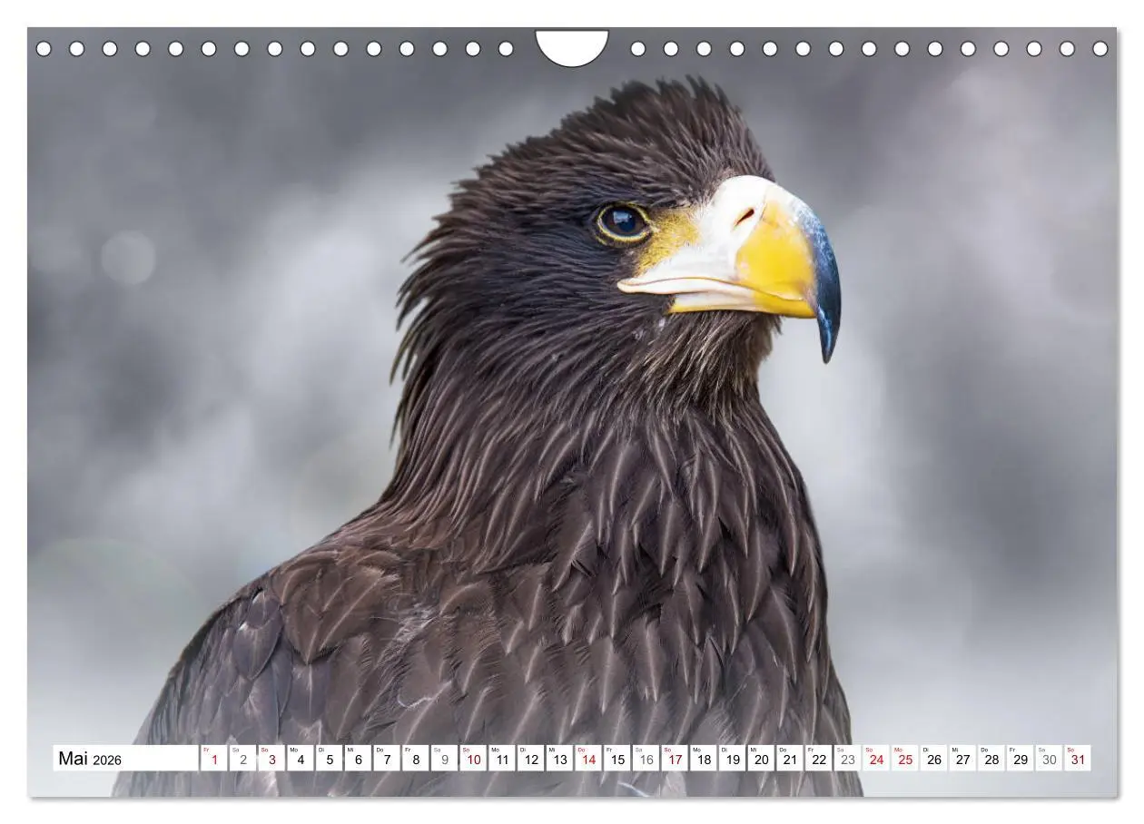 Bild: 9783457712375 | Erfolgreiche Jäger (Wandkalender 2026 DIN A4 quer), CALVENDO...