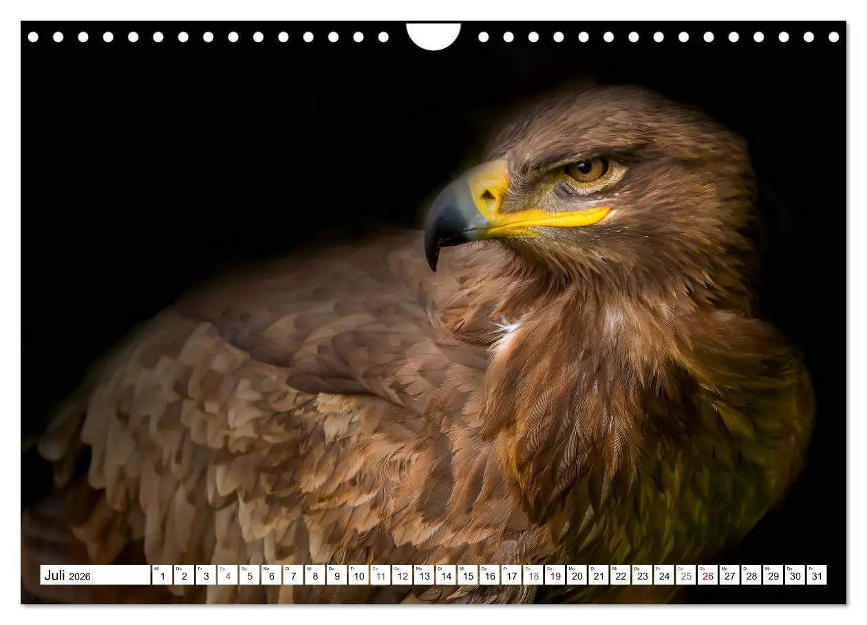 Bild: 9783457712375 | Erfolgreiche Jäger (Wandkalender 2026 DIN A4 quer), CALVENDO...