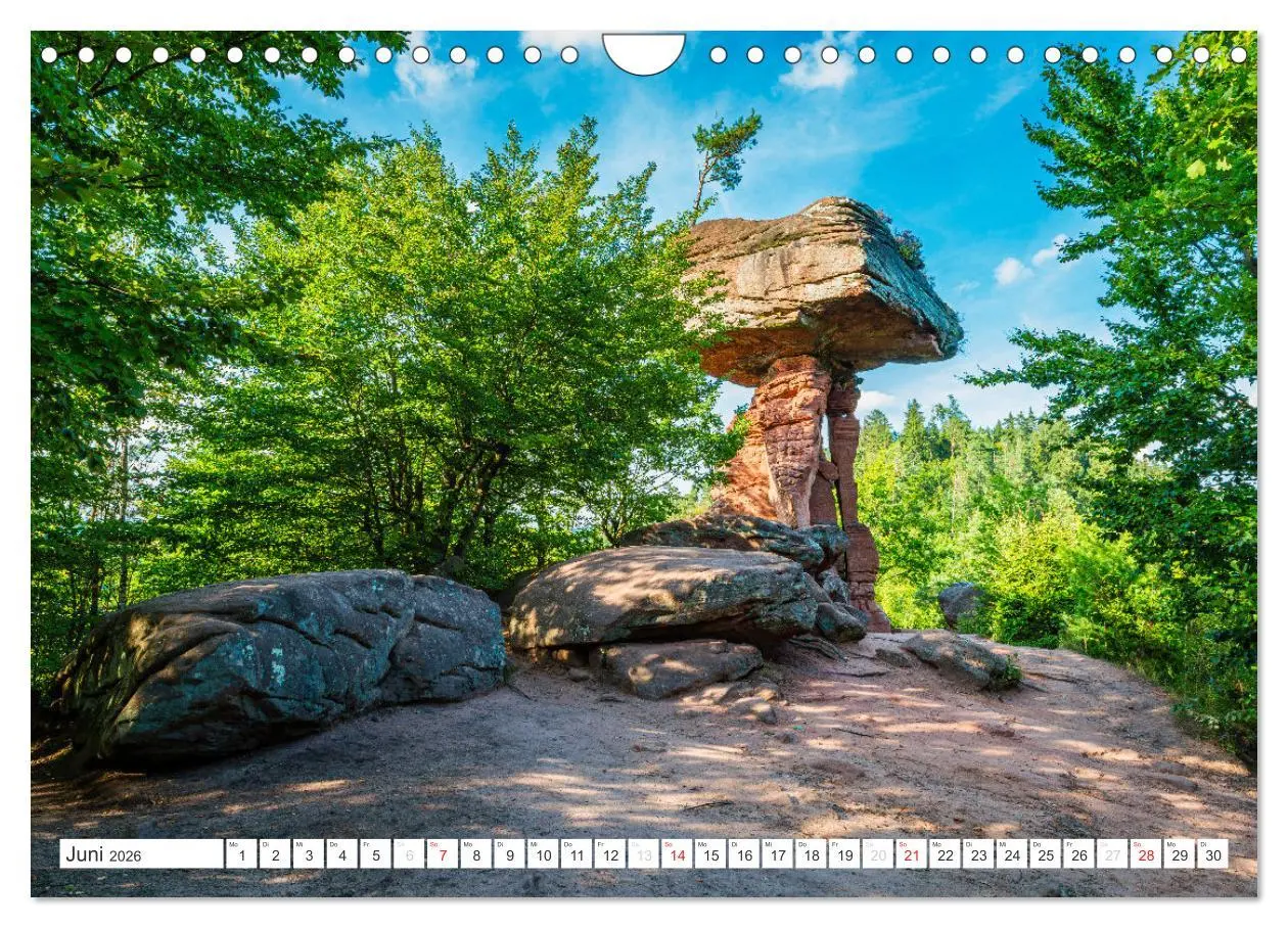 Bild: 9783516112375 | Pfälzer Sehenswürdigkeiten (Wandkalender 2026 DIN A4 quer),...