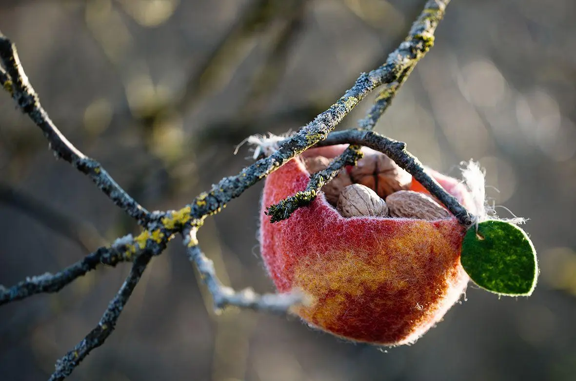 Bild: 9783772532375 | Kleine Lieblinge | Michèle Brunnmeier | Buch | 158 S. | Deutsch | 2025