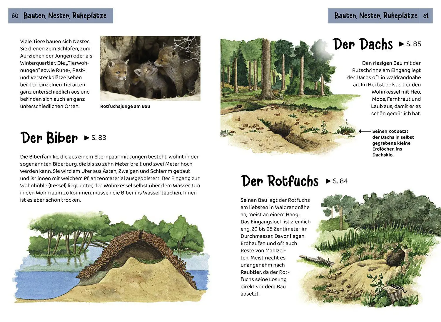 Bild: 9783440182475 | Welche Tierspur ist das? Kindernaturführer | Anita van Saan | Buch