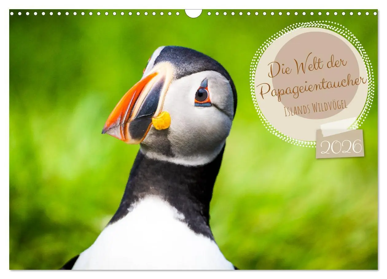 Cover: 9783457562475 | Die Welt der Papageientaucher - Islands Wildvögel (Wandkalender...