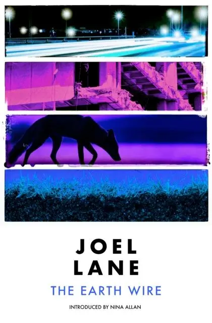 Cover: 9781910312575 | The Earth Wire | Joel Lane | Taschenbuch | Kartoniert / Broschiert