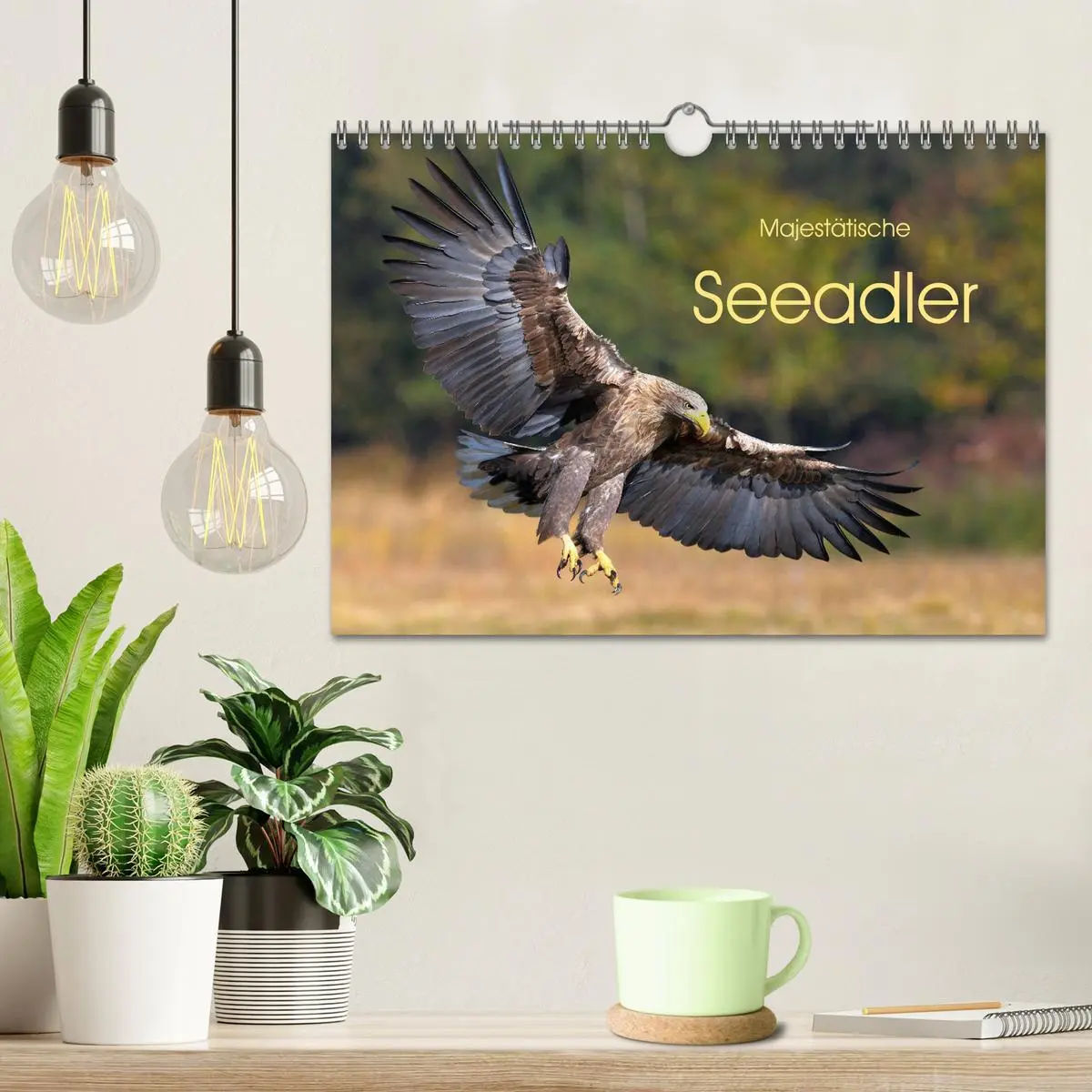 Bild: 9783457792575 | Majestätische Seeadler (Wandkalender 2026 DIN A4 quer), CALVENDO...