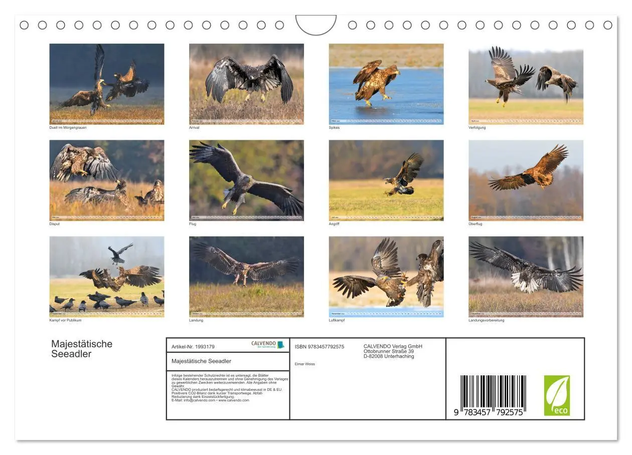 Bild: 9783457792575 | Majestätische Seeadler (Wandkalender 2026 DIN A4 quer), CALVENDO...